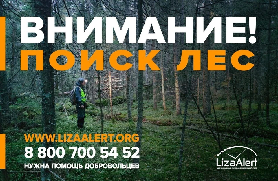 Фото: поисково-спасательный отряд "ЛизаАлерт" Костромской области