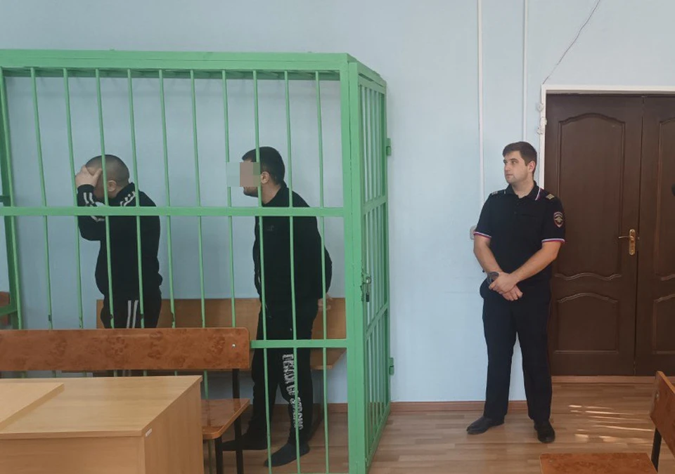 Братья-рецидивисты получили тюремные сроки за кражу в Кимовске Тульской области