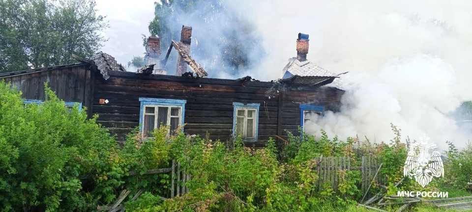 Фото: ГУ МЧС России по Костромской области
