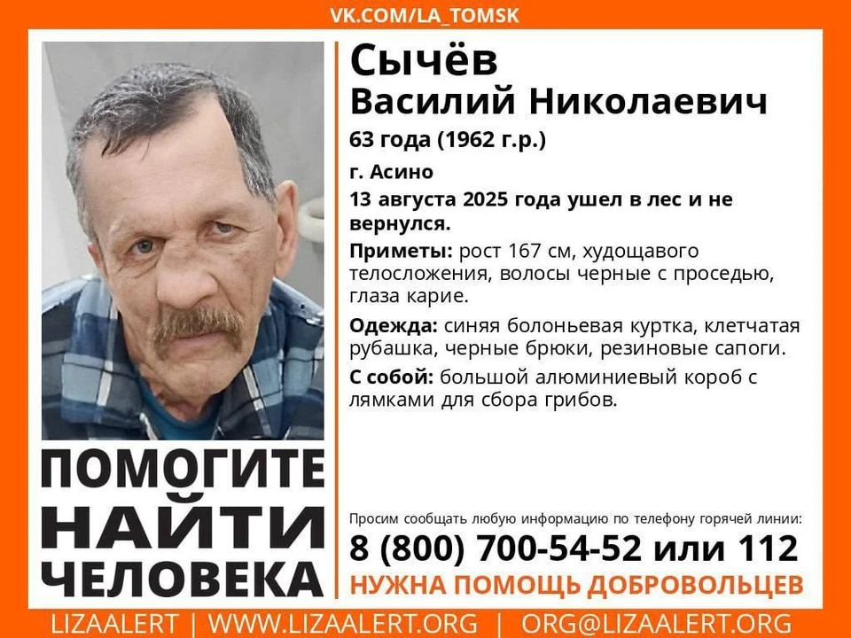 Фото: поисковый отряд «Лиза Алерт»