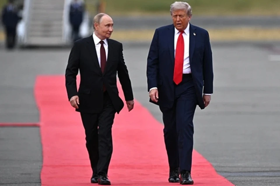Депутат Чепа: трехсторонняя встреча зависит от переговоров Трампа и Зеленского