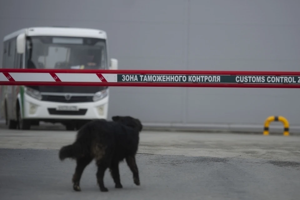 Движение грузовых транспортных средств через пункт пропуска Амурзет возобновлено