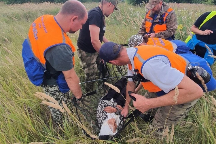 Лежала в траве в 300 метрах от дома: добровольцы рассказали, как искали 110-летнюю бабушку в лесу под Нижним Новгородом