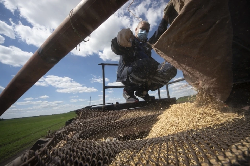 Татарстан производит широкий ассортимент сельскохозяйственной продукции.