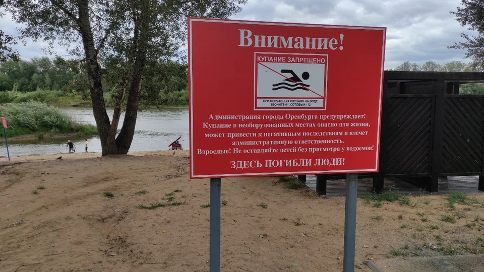 С начала лета проведено уже 70 рейдов. Фото: мэрия Оренбурга