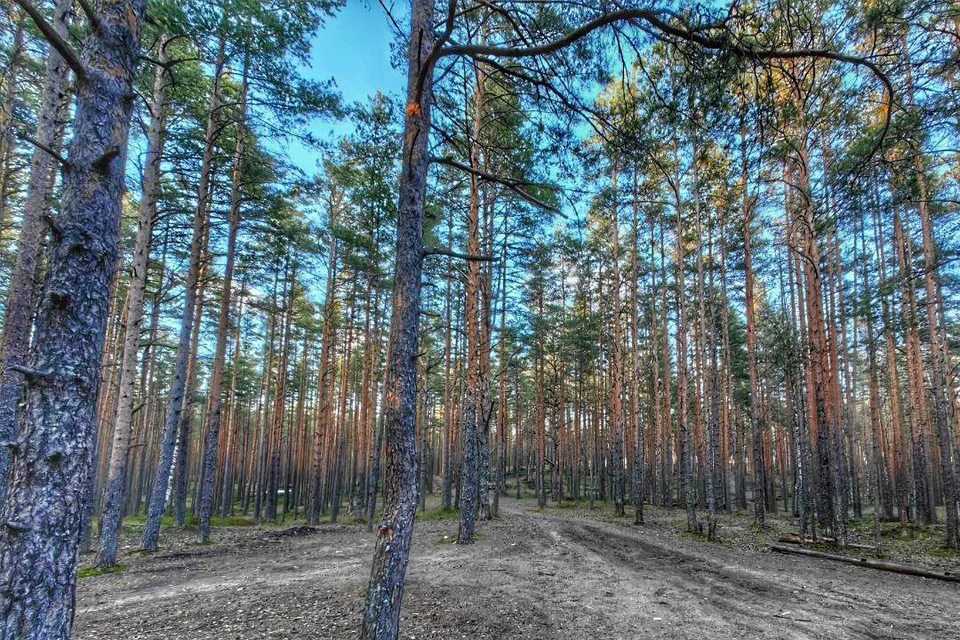 Корабельников опроверг слухи. Фото: t.me/korabelnikov_a