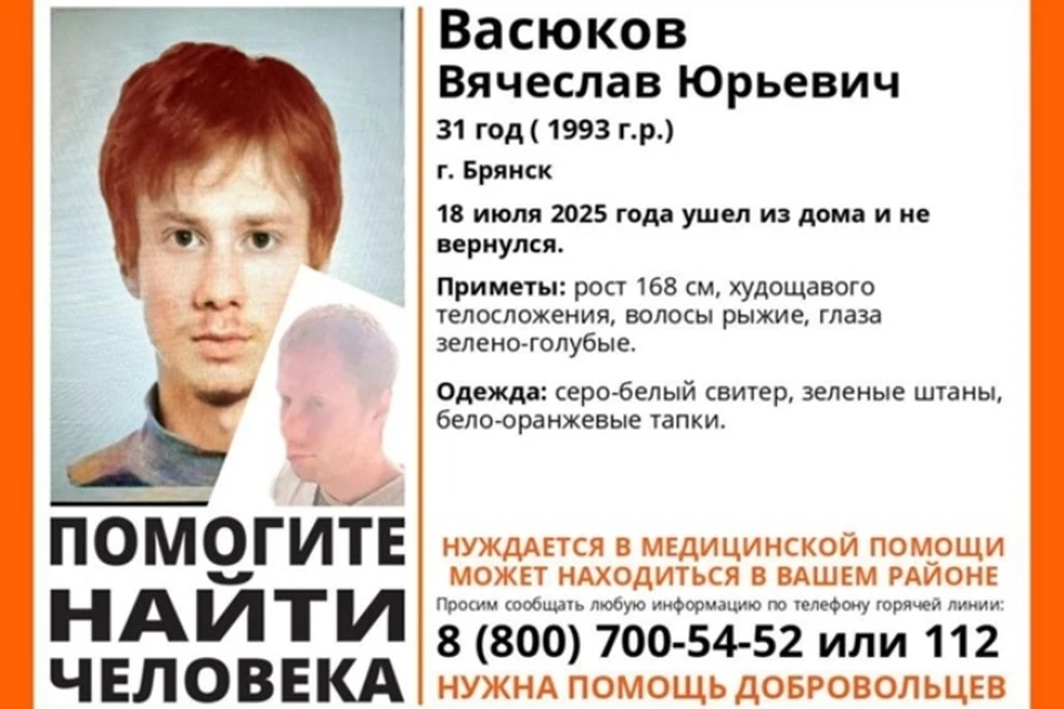 Фото: поисковый отряд "Лиза Алерт".