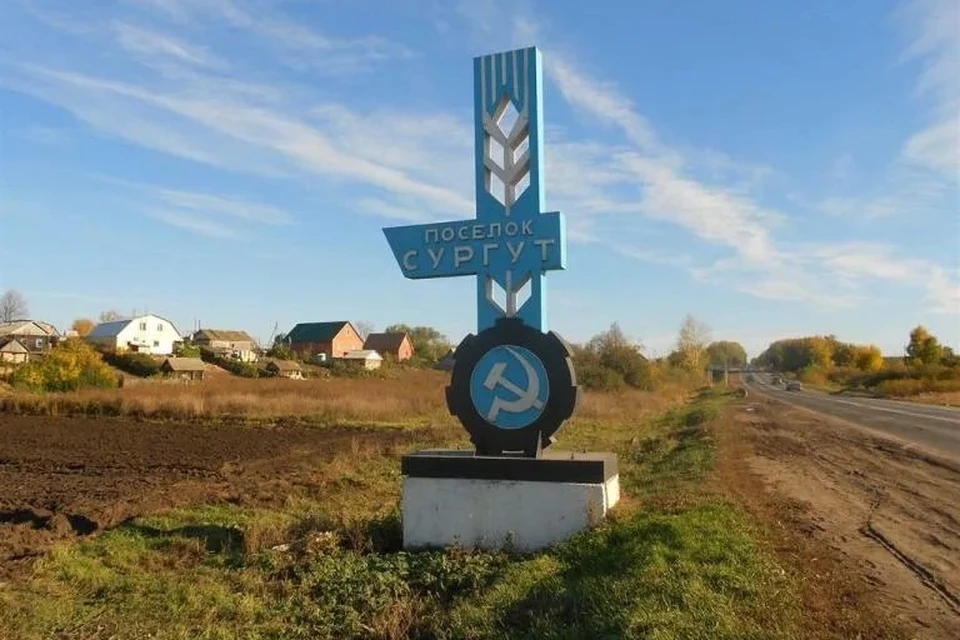 Старушку нашли осенью около одной из дорог неподалеку от поселка Сургут.