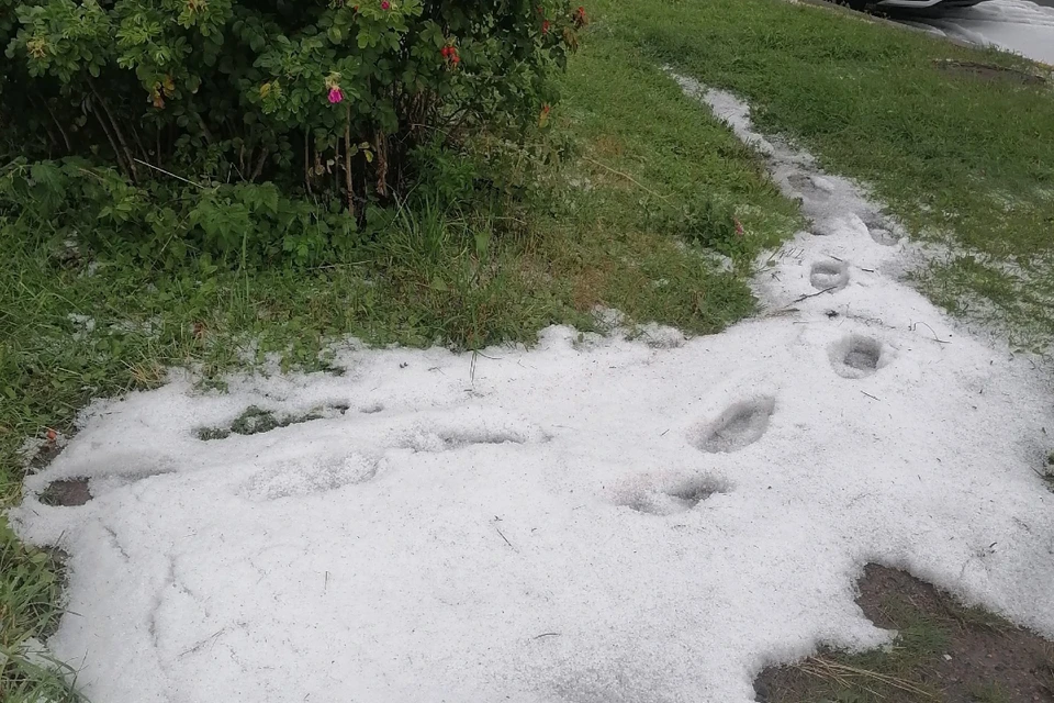 Лето в Петербурге может закончиться в любой момент. Фото: vk.com/id17381639