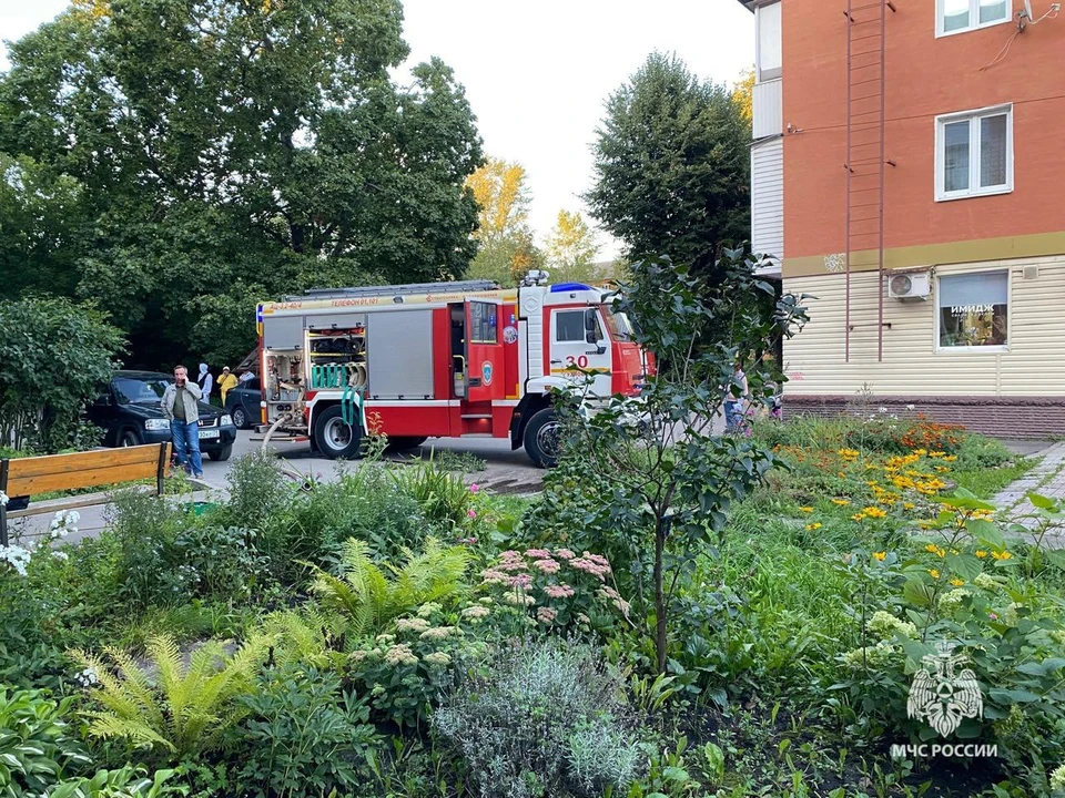 В Тульской области за сутки ликвидировали четыре пожара