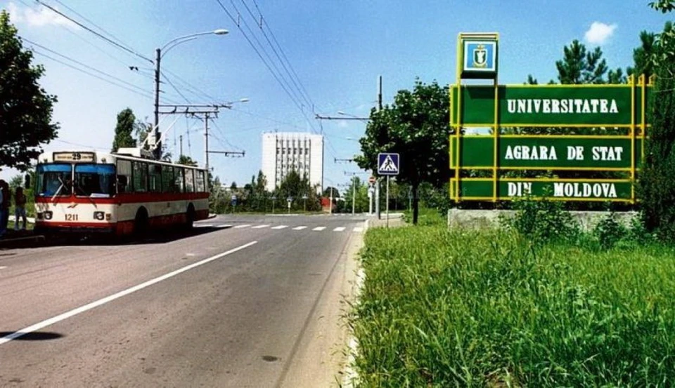 Аграрный университет был передан в управление ООО Agrotek Park на 30-летний срок. Фото: соцсети