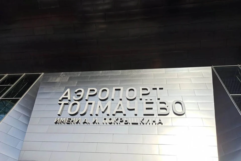 В аэропорту Толмачево задерживается прилет 17 рейсов.