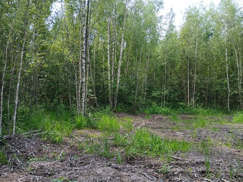 фото со страницы областной прокуратуры
