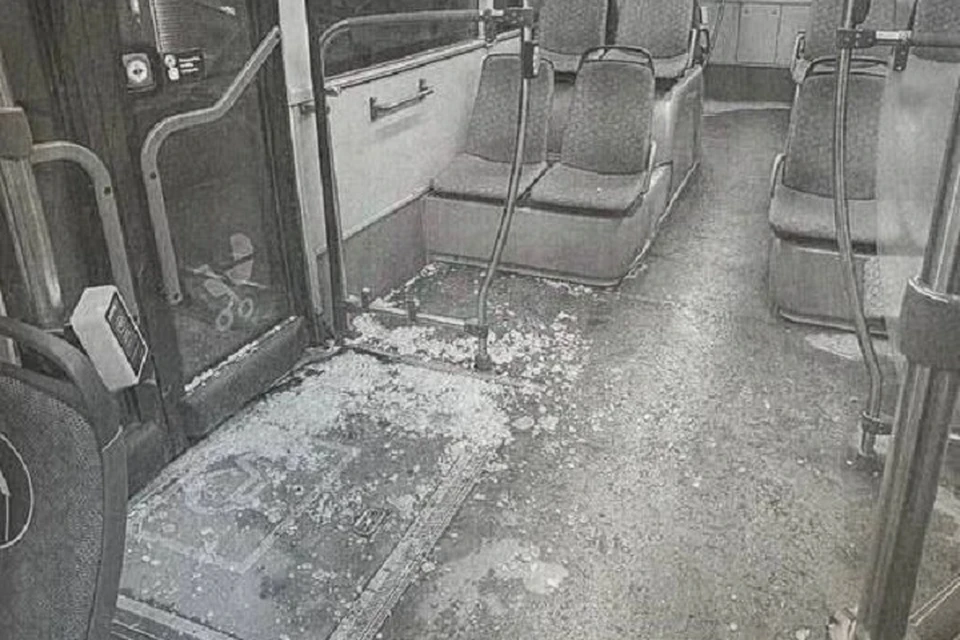 Прокуратура направила в суд дело о хулиганстве в электробусе Ярославля.