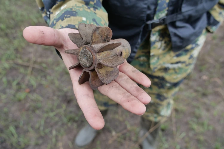Двое жителей Курской области подорвались на минном поле в Рыльском районе