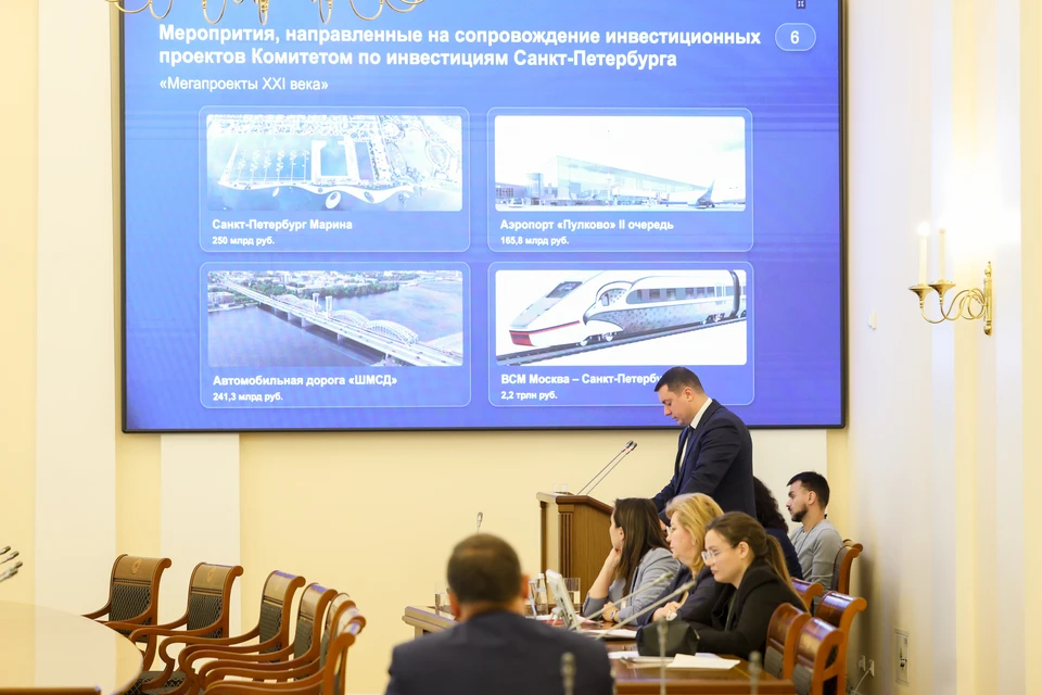 Смольный опубликовал закупку на живую ель на Дворцовой площади.