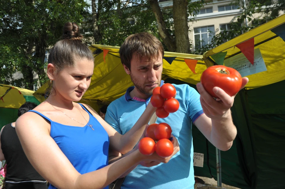 Власти региона обсуждают возможность финансовой поддержки аграриев, которые понесли убытки из-за засухи