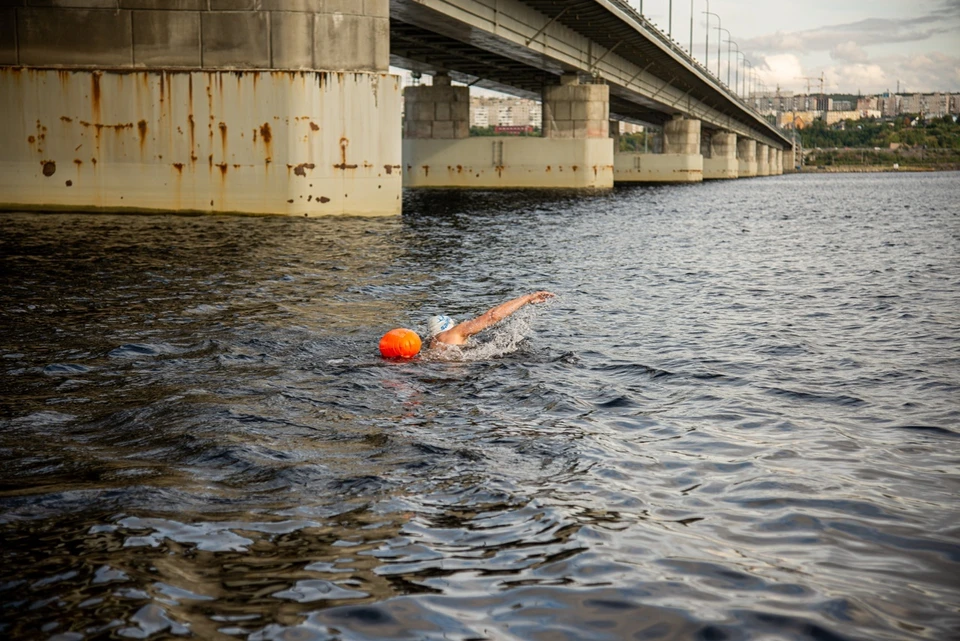Пловцам надо будет преодолеть в холодной воде 1200 метров. Фото: администрация Мурманск