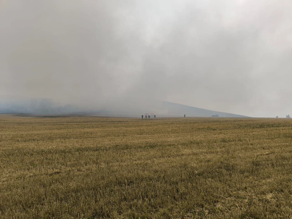 Пожарным удалось остановить распространение огня. Фото: Павел Пахомов