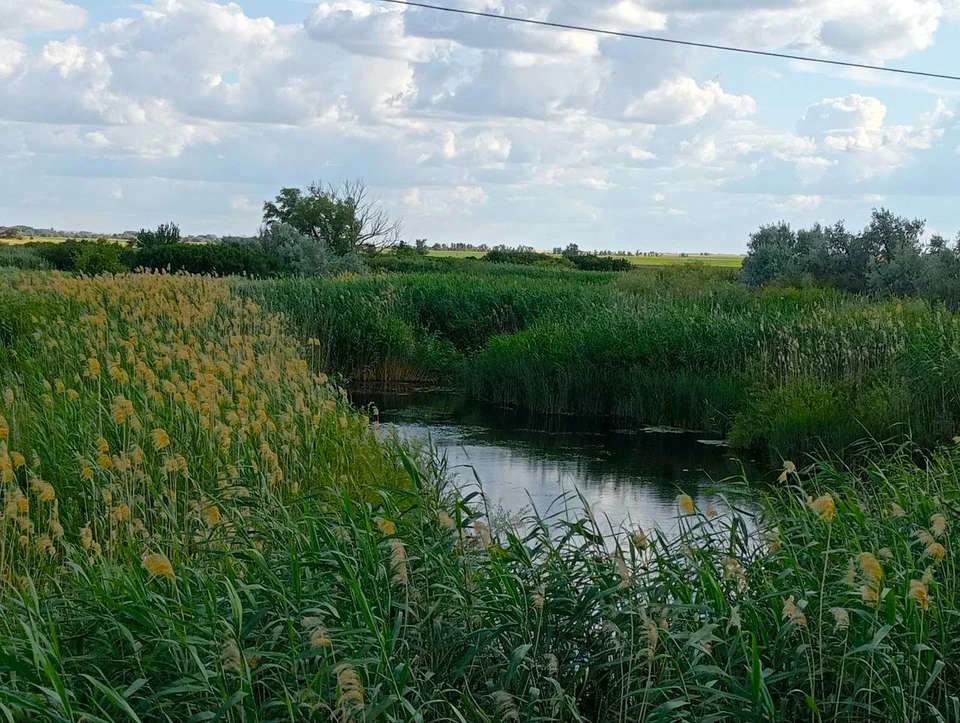 Выходные в Белгородской области будут теплыми и без осадков