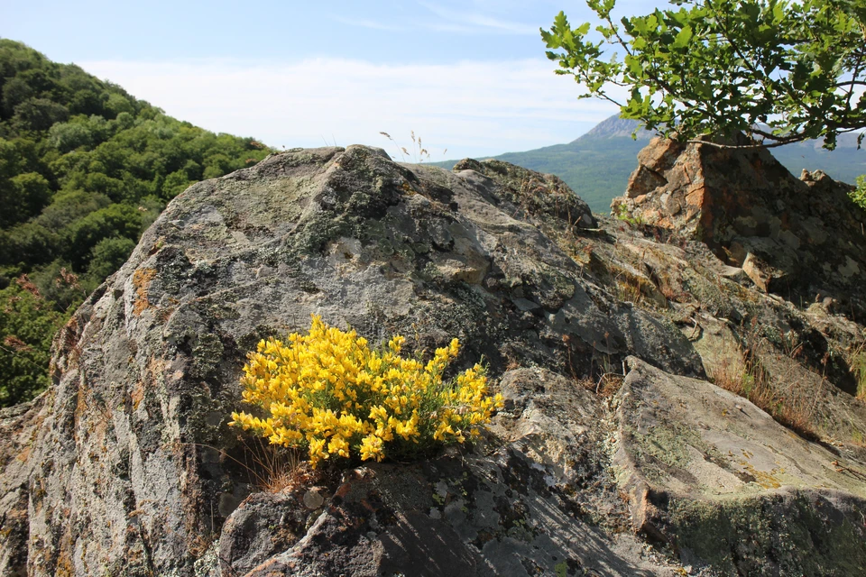 В Крыму теплая погода