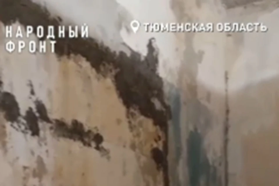 Скрин с видео народного фронта Тюменской области