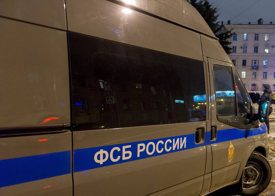 Женщина заключена под стражу по делу о госизмене