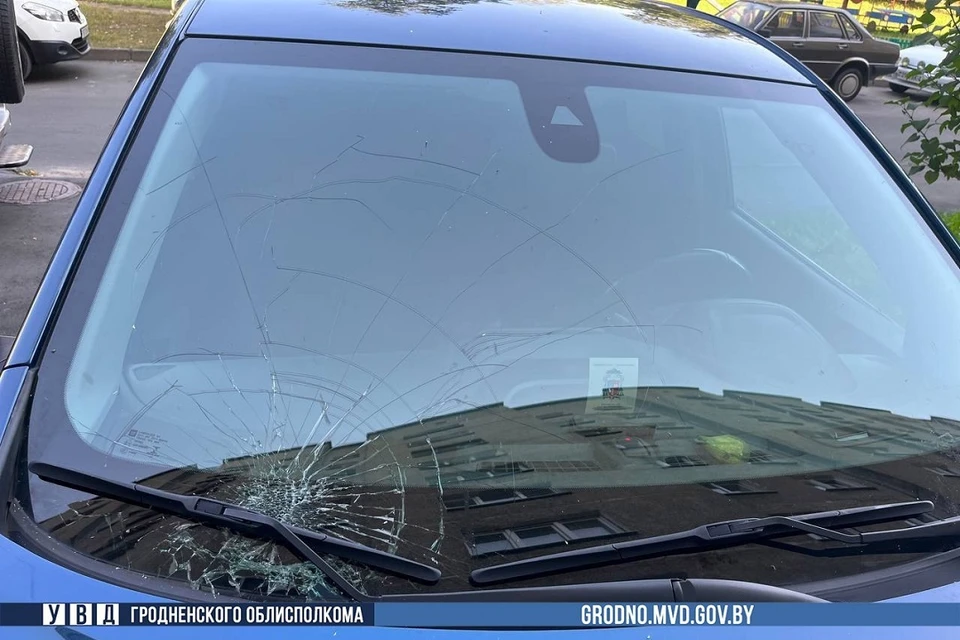 Гродненец неправильно выбросил мусор и может сесть в тюрьму. Фото: УВД Гродненского облисполкома.