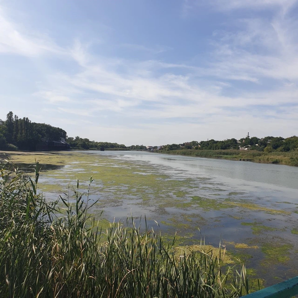 В Ростовской области мелеют реки. Фото: телеграм-канал минприроды региона
