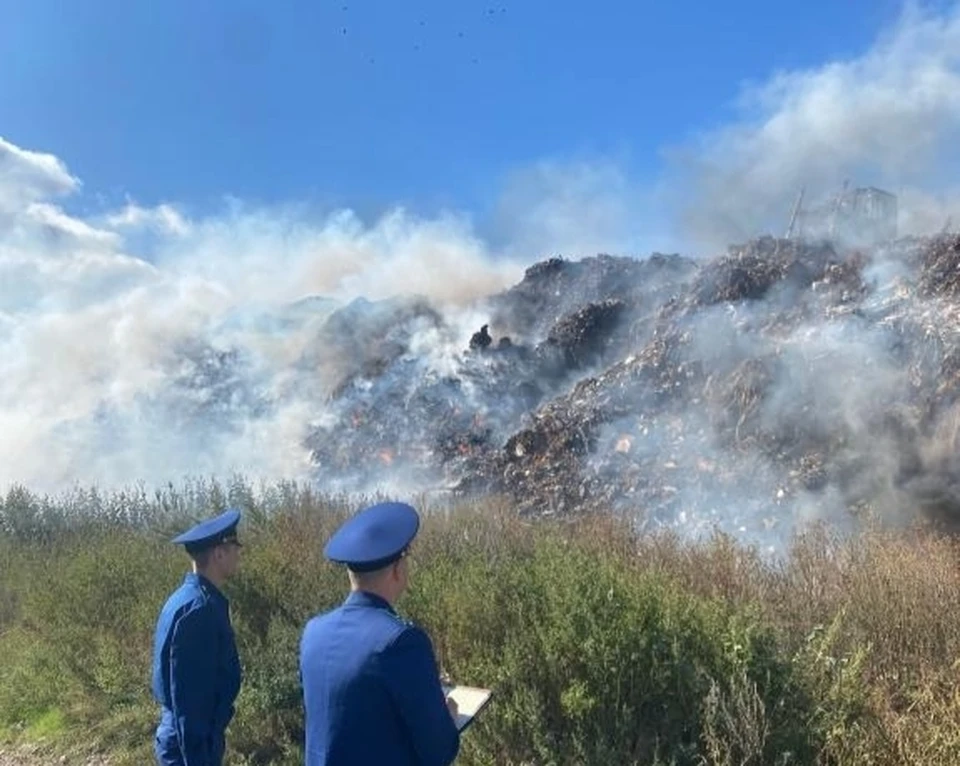 В регионе расследуют пожар на мусорном полигоне. Фото: Волжская межрегиональная природоохранная прокуратура