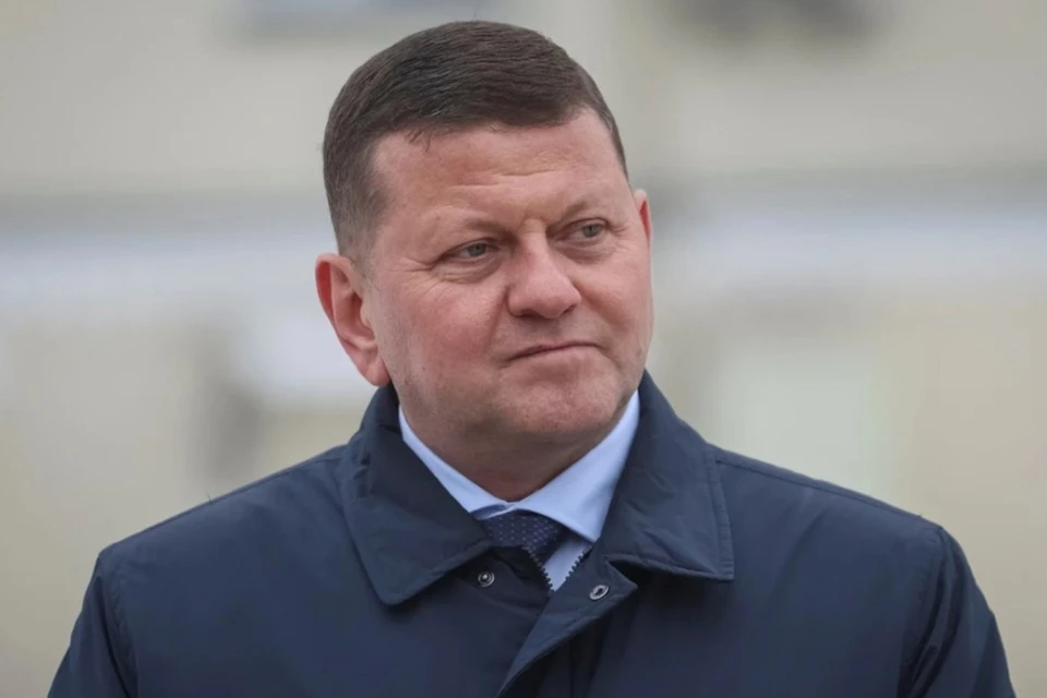 Залужный обвинил Лондон в предательстве из-за выступления Нетребко.