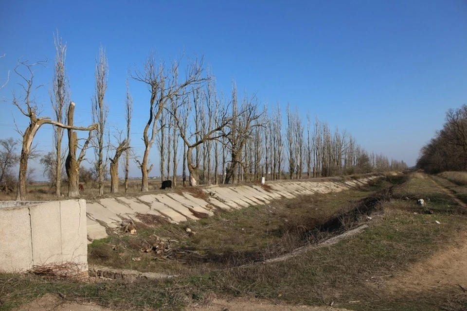 Ирригационные каналы в пределах региона пересохли после диверсии ВСУ на Каховской ГЭС, что усилило засухи