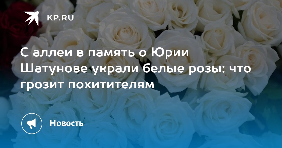 Адвокат Трунов: Укравшим розы с аллеи памяти Шатунова грозит до 15 суток
