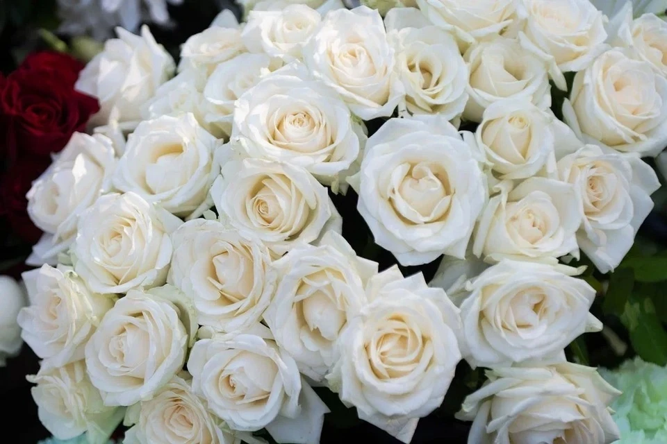 С аллеи в память о Юрии Шатунове украли белые розы: что грозит похитителям