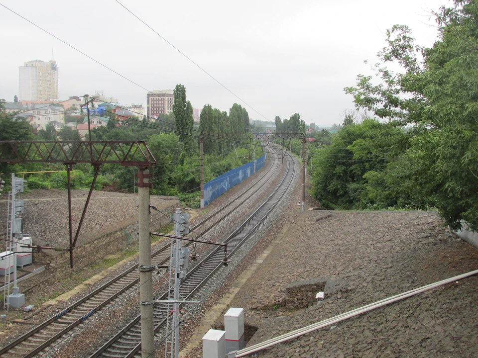 Фото Елены Федяшевой