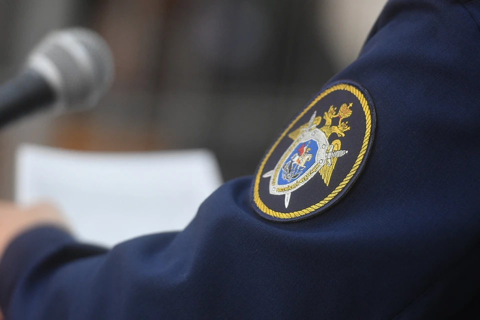 Уголовное дело направили для утверждения прокурором обвинительного заключения и последующей передачи в суд.