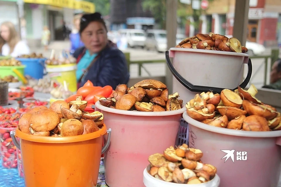Миколог Дьяков: бледную поганку легко спутать с зелеными сыроежками