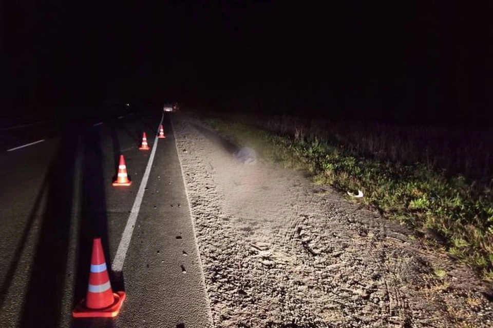 Пешеходы не имели на одежде световозвращающих элементов. Фото: Госавтоинспекция Удмуртии