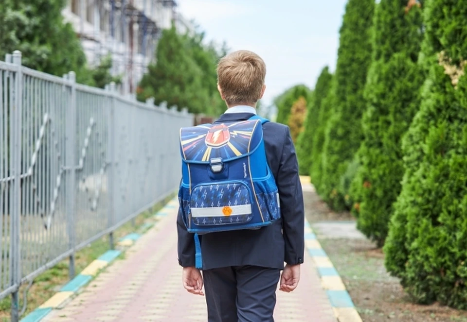 Новосибирцы чаще всего спрашивали Роспотребнадзор о школьной форме