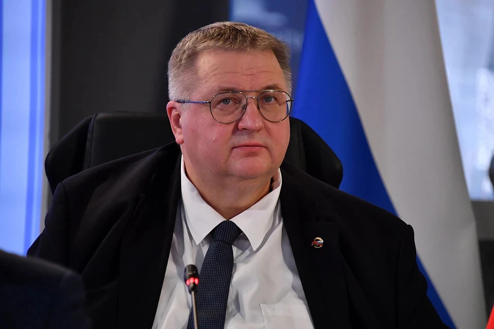 Оверчук: Первые компании в промзоне РФ у Суэца могут начать работу до 2030 года