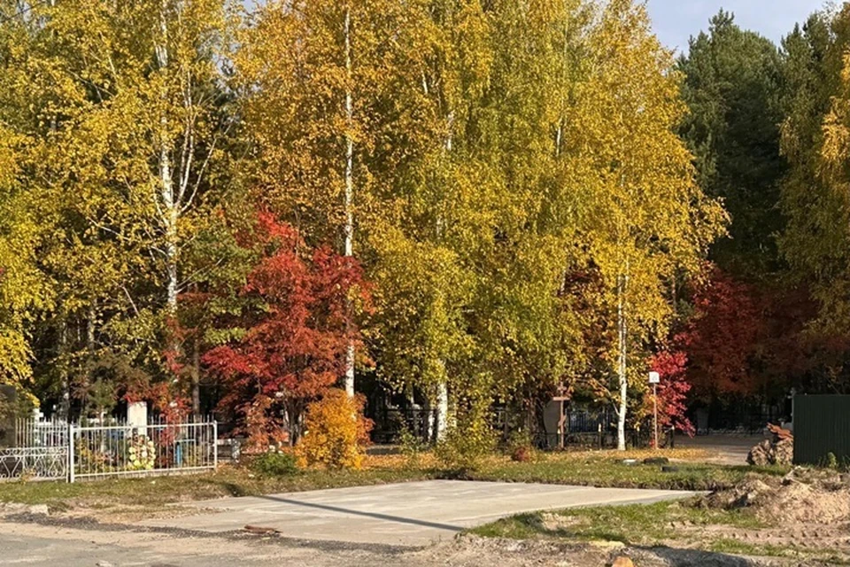 Фото: администрация Сургута