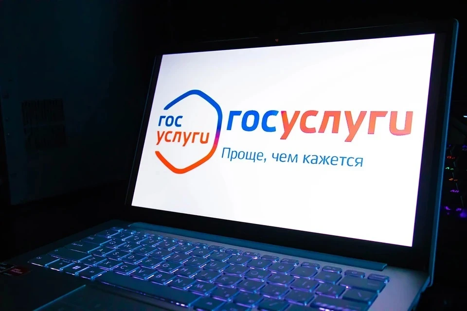 На «Госуслугах» появятся шесть новых социально значимых сервисов к концу года