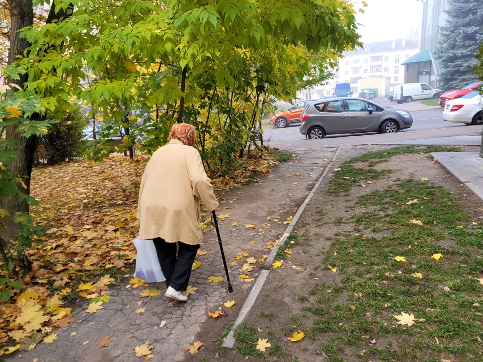 В Минске 86-летняя водитель «ЗАЗ» сбила 89-летнюю женщину на пешеходном переходе и скрылась. Фото: архив, носит иллюстративный характер.