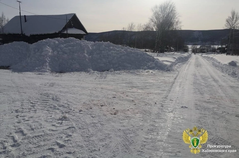 Девочка шла в школу, когда на нее напала стая бездомных собак