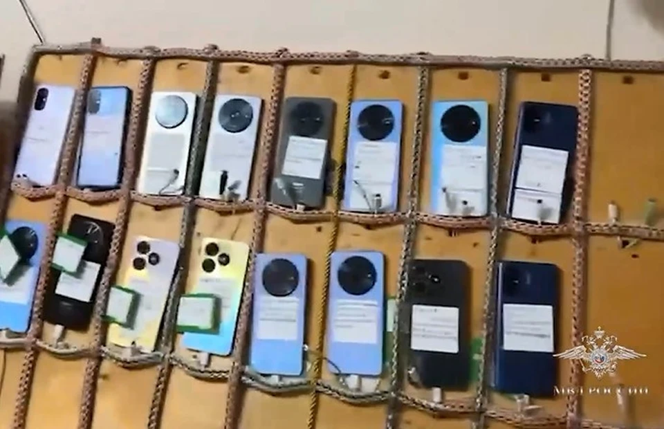 Кадр из видео МВД России