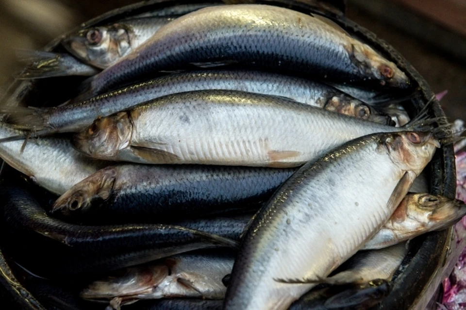 Рыбная продукция из Хабаровского края и ЕАО активно поставляется в Китай