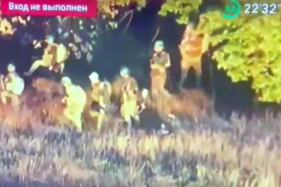 Уничтожение украинских диверсантов снял на видео оператор российского БПЛА