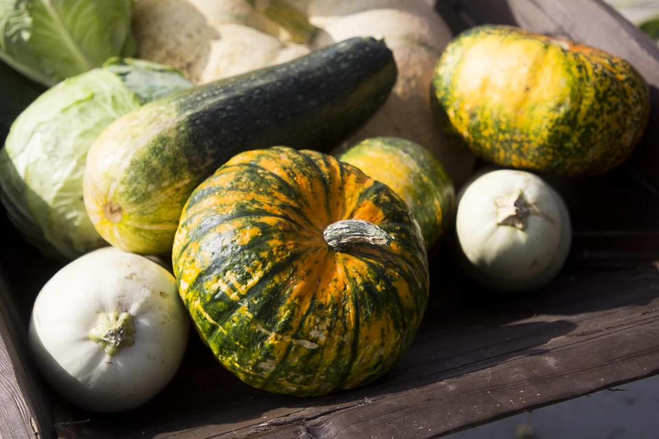 Врач подчеркнула, что правильное питание – лишь часть заботы о зрении