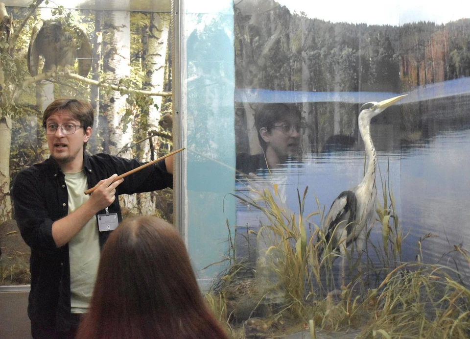 Ульяновский краеведческий музей получил признание минкультуры РФ. ФОТО: Ульяновский краеведческий музей