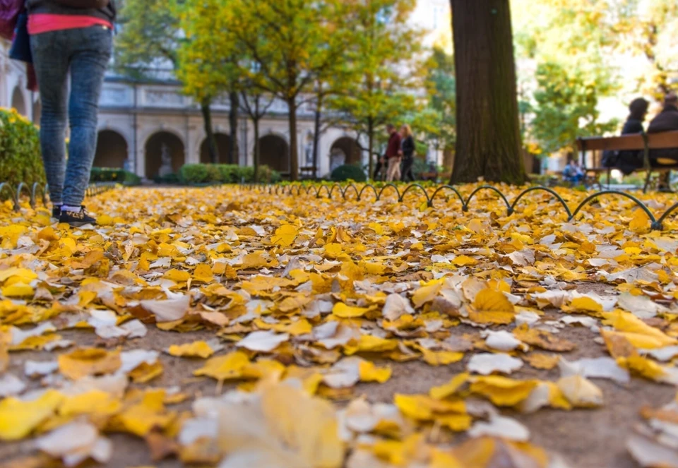 Ветер достигнет максимальных порывов до семи метров в секунду. Фото: freepik.com